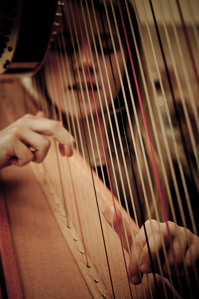 Harp Festival (19 of 54).jpg
